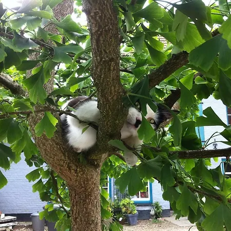 Semesterbostad Hoeve Schoonzicht Wijlre